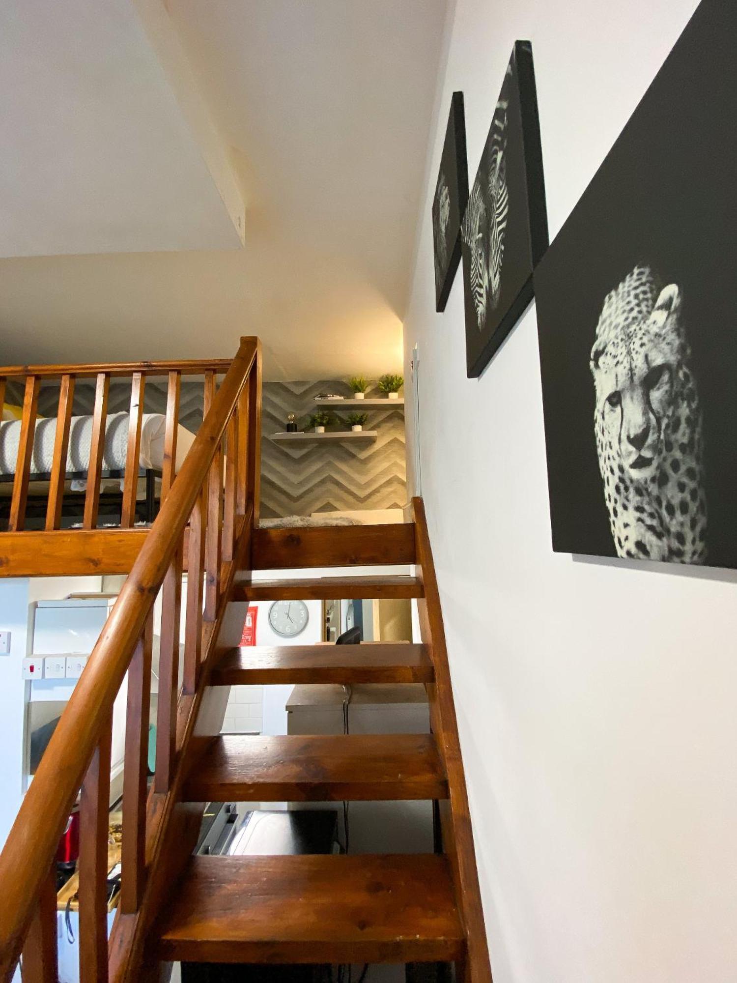 Modern Studios Queenspark London Phòng bức ảnh